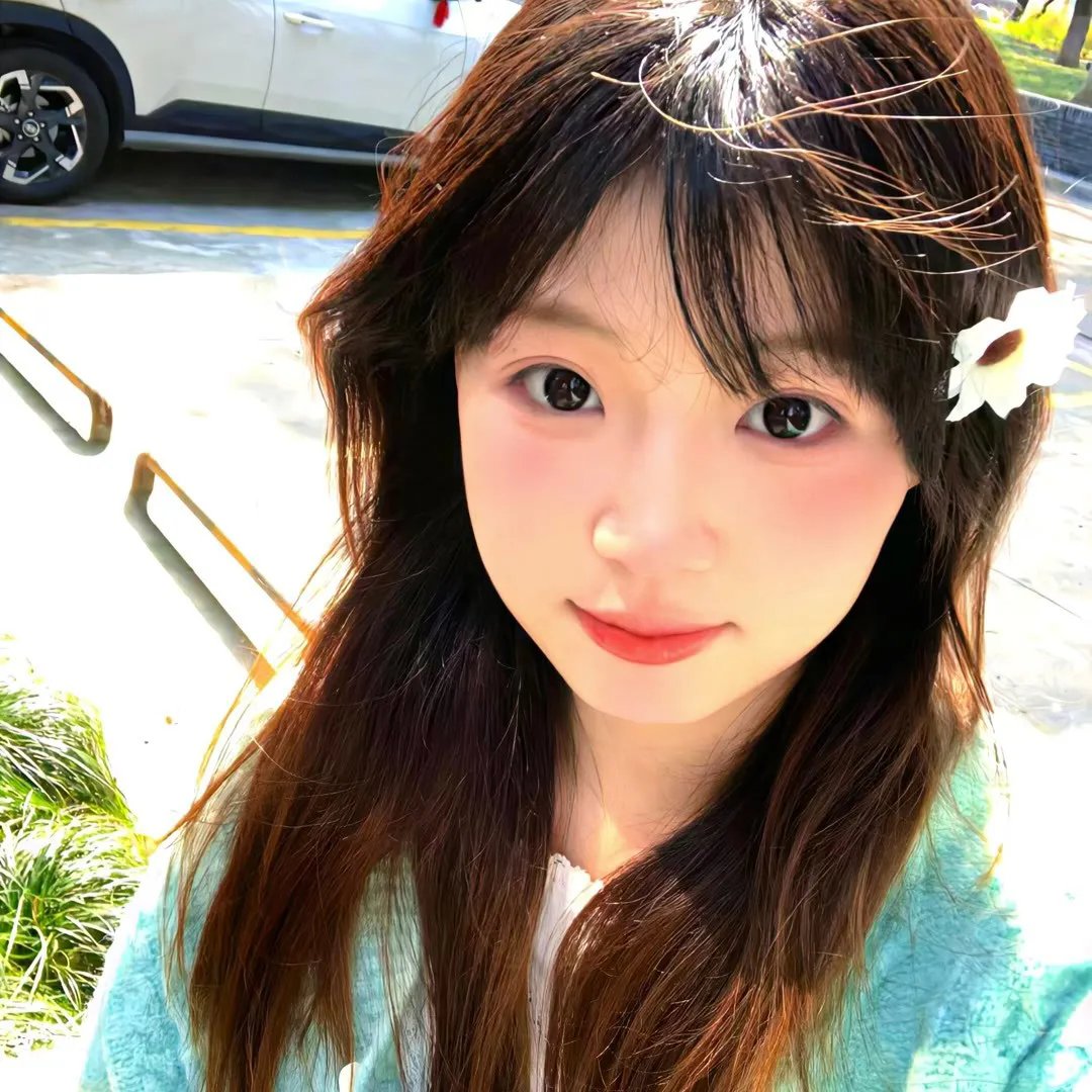 活动写真
